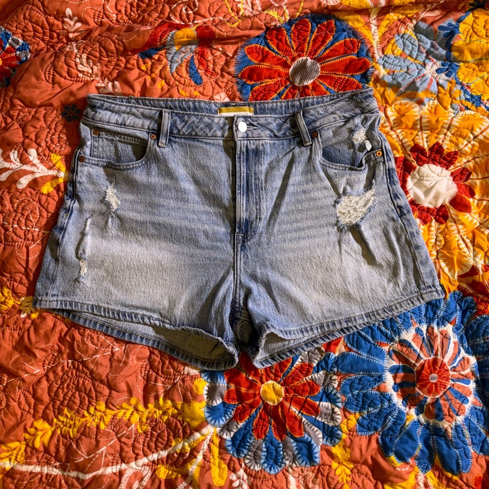 Plus Size Jean Shorts